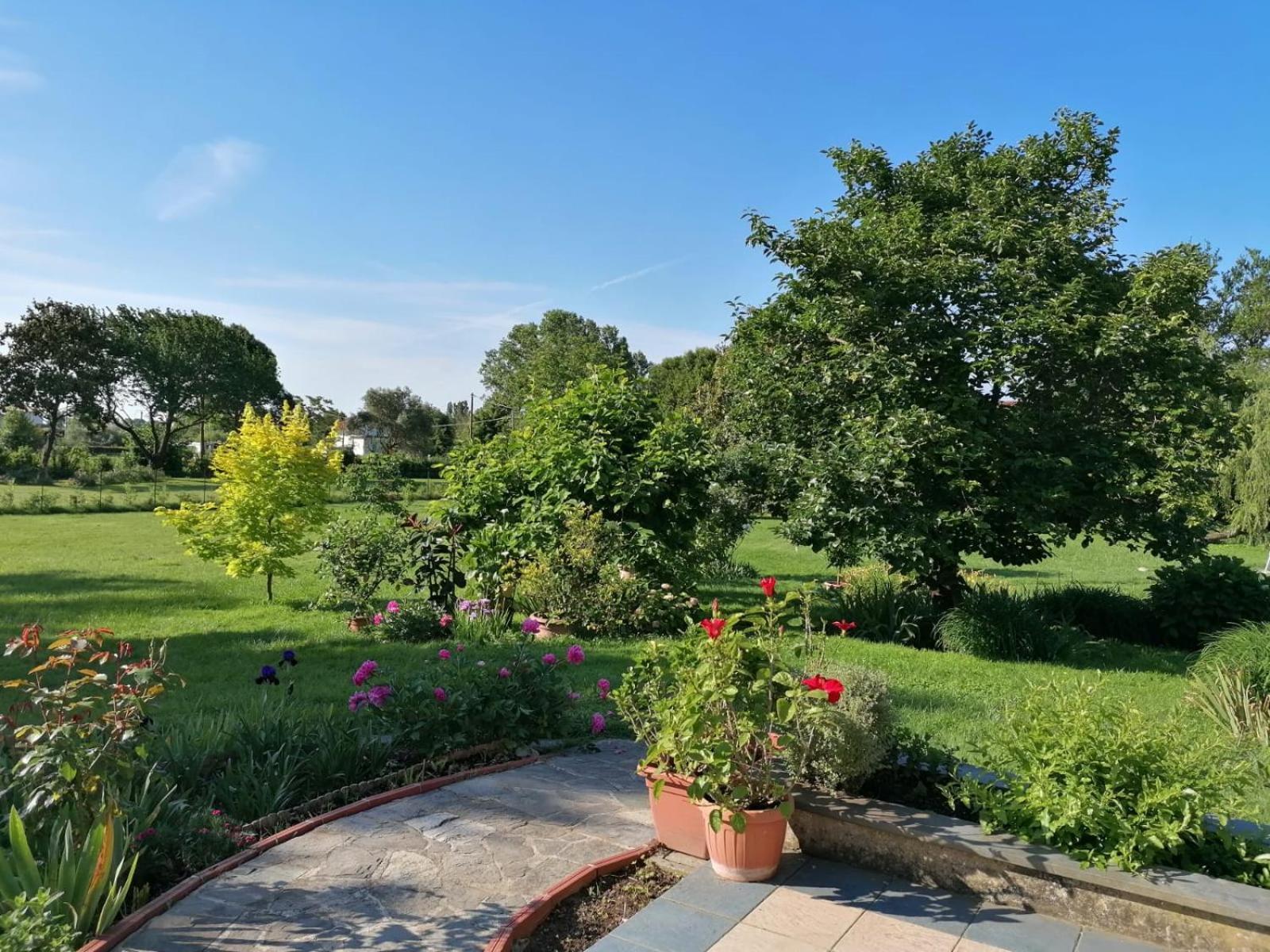 Versilia - Pietrasanta - Le Colmate Guesthouse ตอนฟาโน ภายนอก รูปภาพ