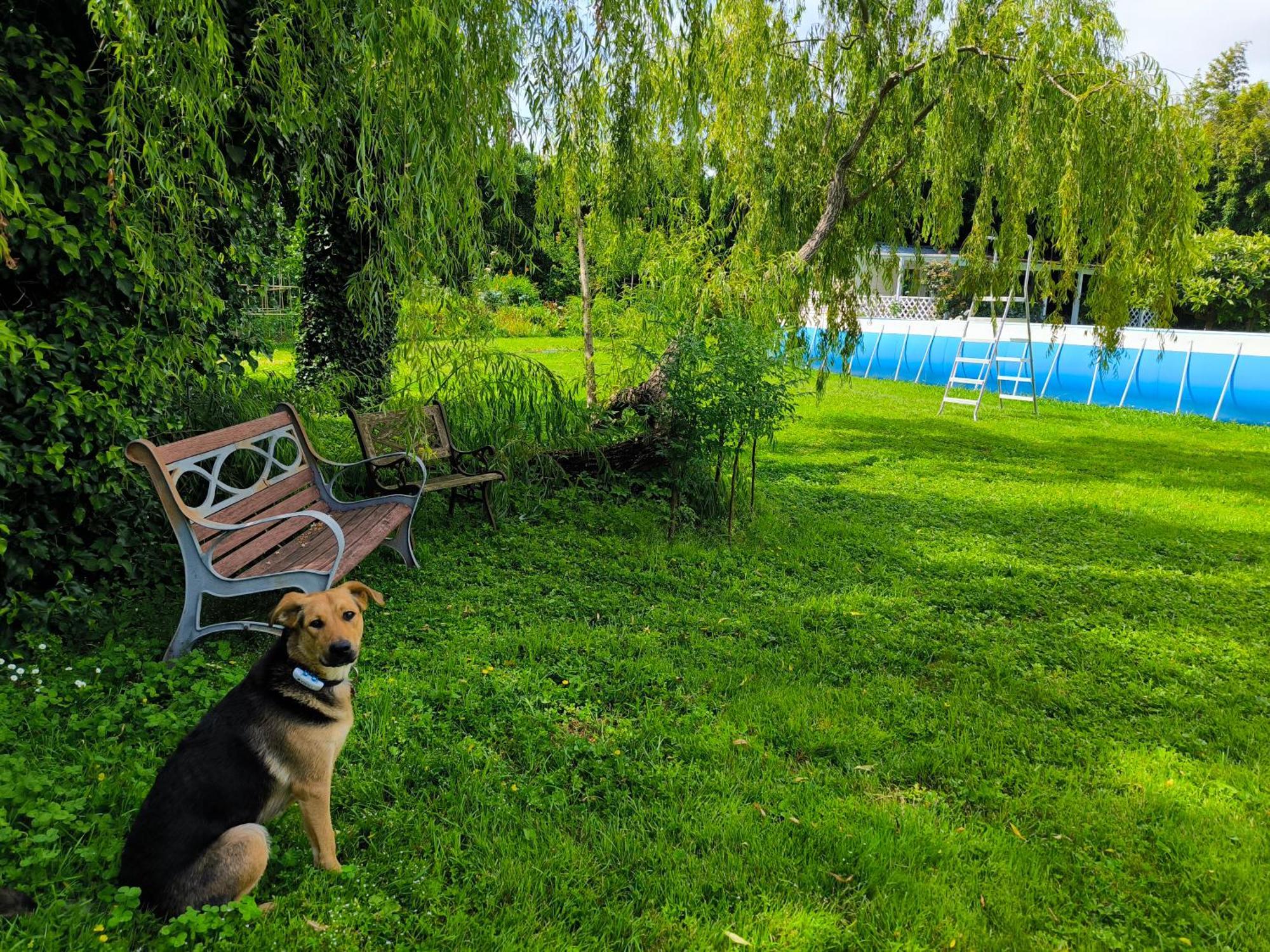 Versilia - Pietrasanta - Le Colmate Guesthouse ตอนฟาโน ภายนอก รูปภาพ