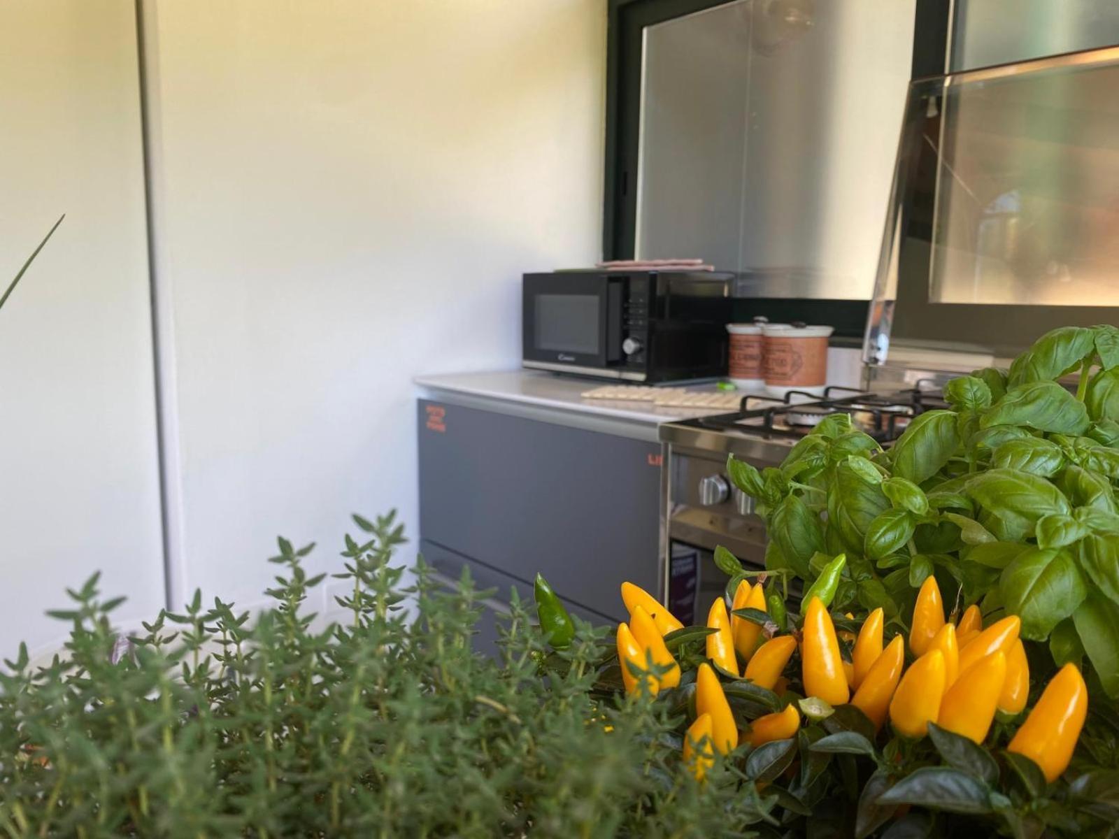 Versilia - Pietrasanta - Le Colmate Guesthouse ตอนฟาโน ภายนอก รูปภาพ